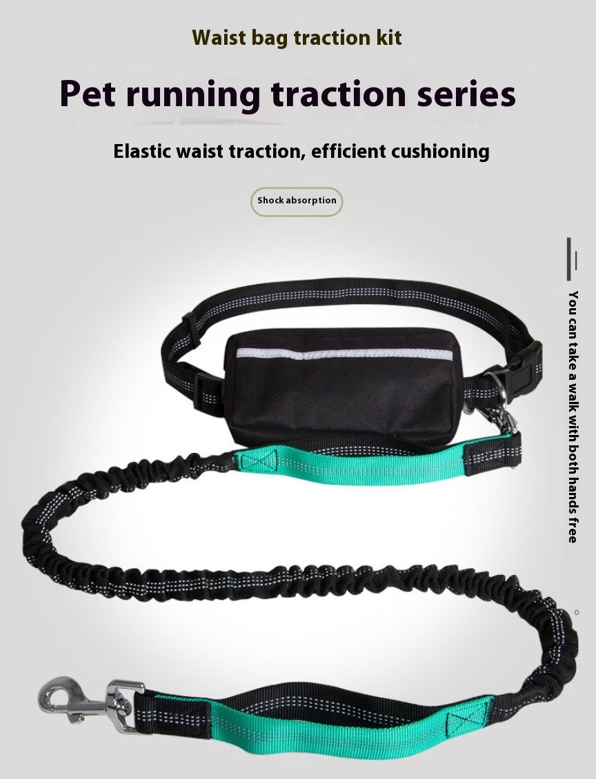 Hands-free Dog Leash