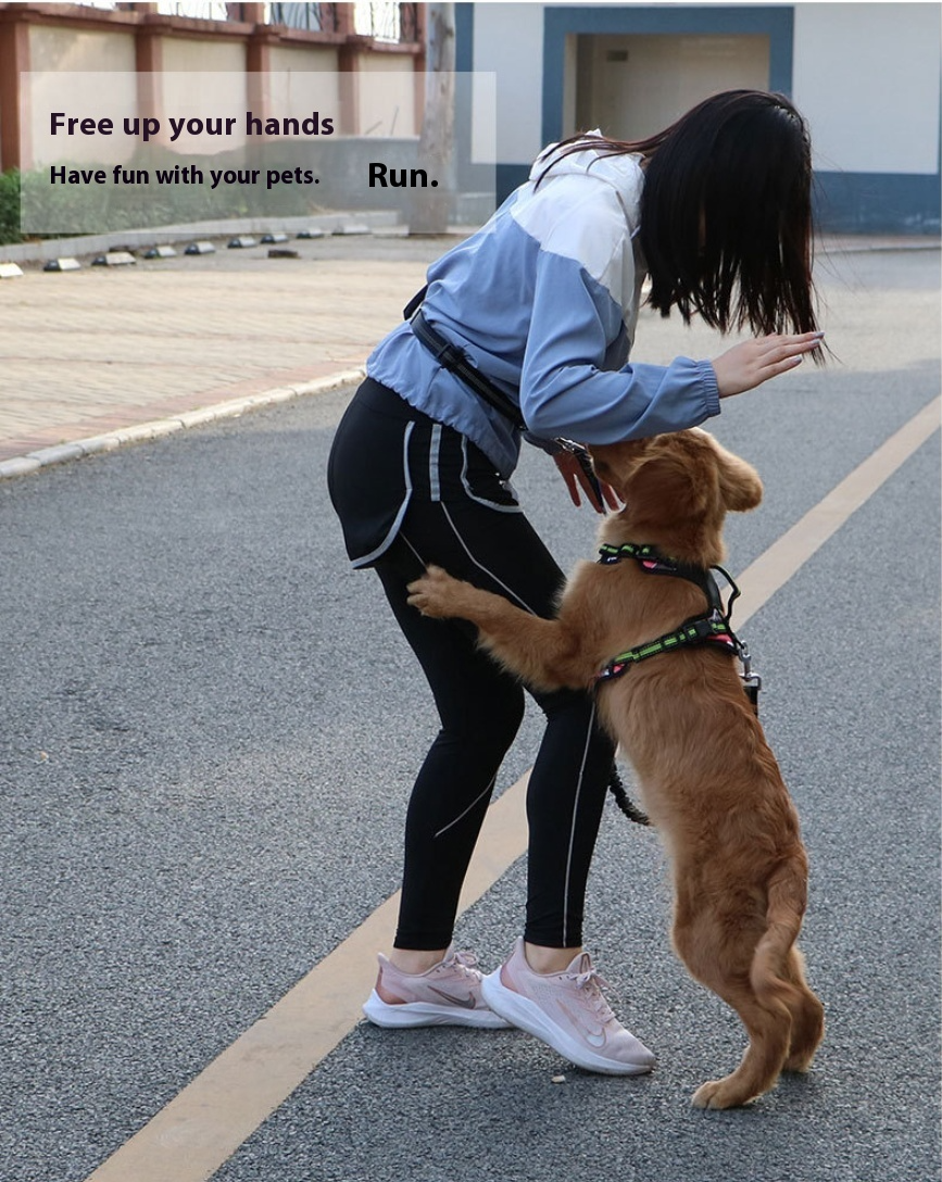 Hands-free Dog Leash