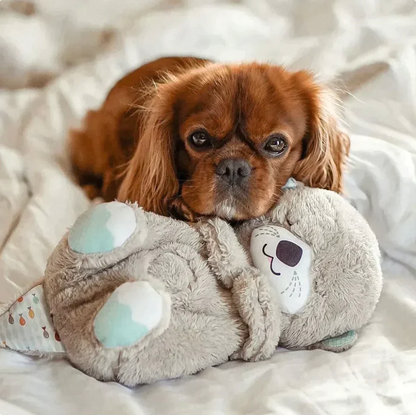 Calming Bear Plush