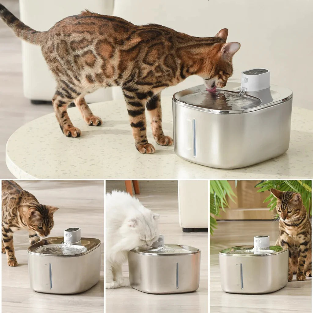 PawsyTrail™ Cat Fountain