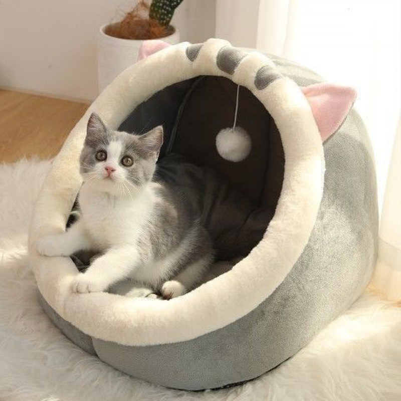 Cat House