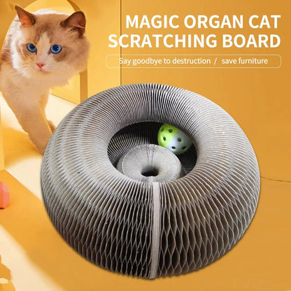 Magic Organ Foldable Cat Scratch