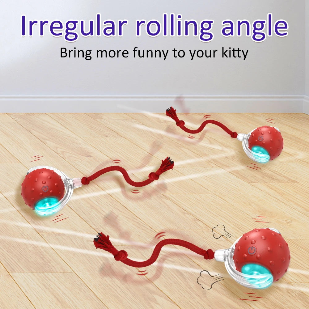 Cat Rolling Ball Bird Chirping Interactive