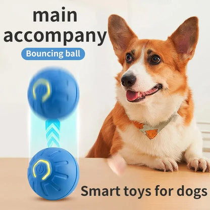 PawsyTrail™ Auto Ball