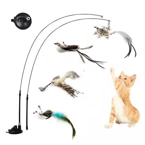 Interactive Simulation Cat Toy Set 4 BirdPawsyTrailInteractive Simulation Cat Toy Set 4 Bird🐾 Introducing Our Interactive Bird Simulation Cat Toy Set 🐦

 Calling all cat lovers! Is your feline friend in need of some excitement and stimulation? Say hello t