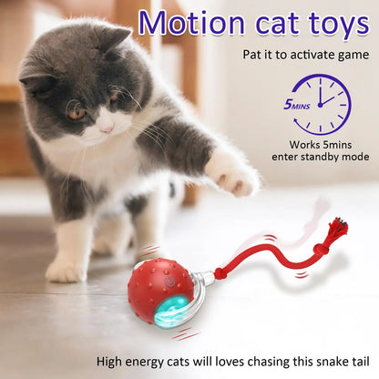 Cat Rolling Ball Bird Chirping Interactive