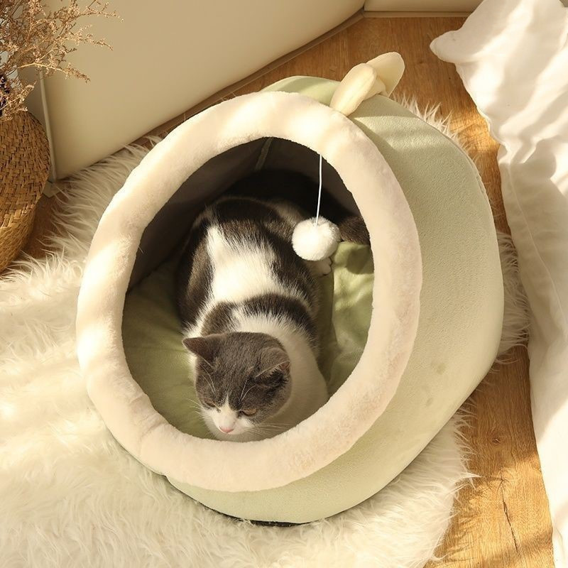 Cat House