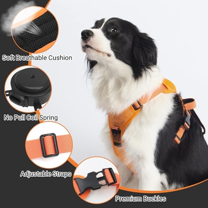 All-in-One Dog Harness and Retractable Leash Set