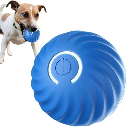 PawsyTrail™ Auto Ball