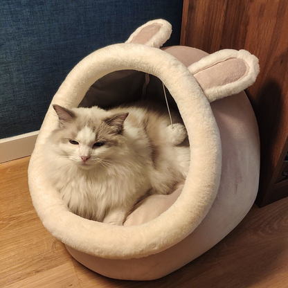 Cat House