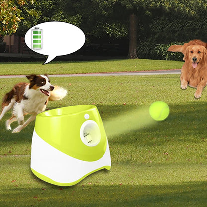 Dog Tennis Launcher Automatic