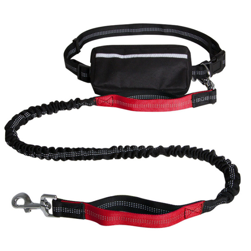 Hands-free Dog Leash