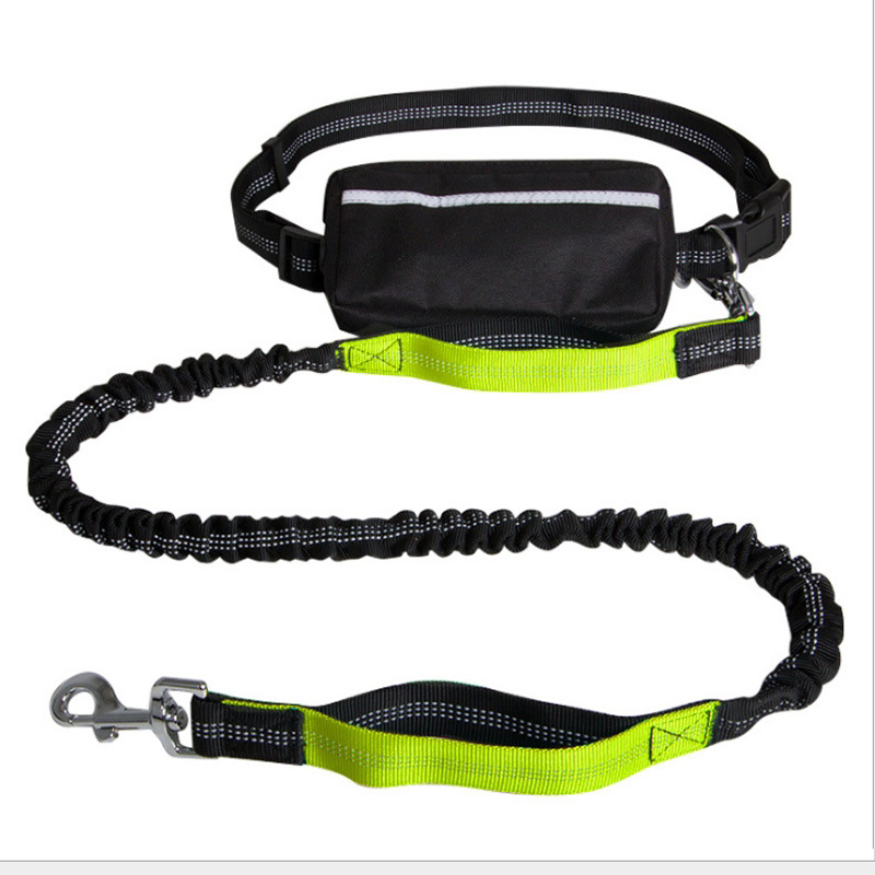 Hands-free Dog Leash