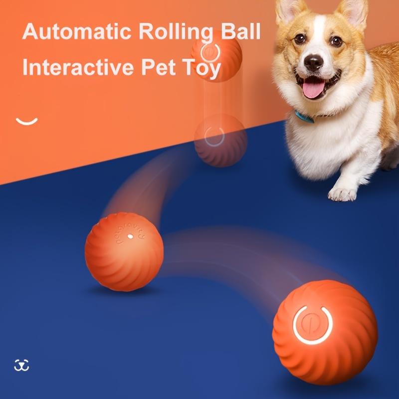 PawsyTrail™ Auto Ball