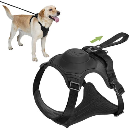 All-in-One Dog Harness and Retractable Leash Set