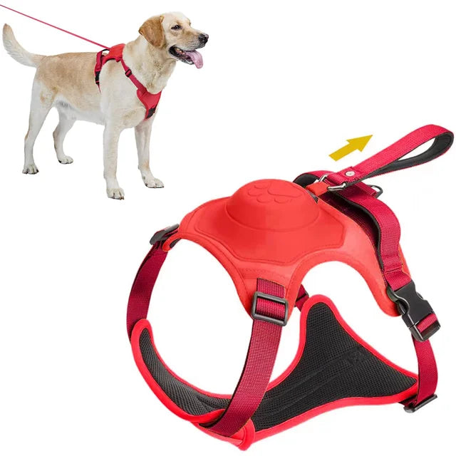 All-in-One Dog Harness and Retractable Leash Set