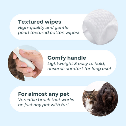 Sticky Brush 2PawsyTrailSticky Brush 2.0CLEAN AND GROOM YOUR CAT WITH JUST A BRUSH!
Is getting your cat into the bath too much of a hassle? Are you close to giving up in making them smell and look nice? We