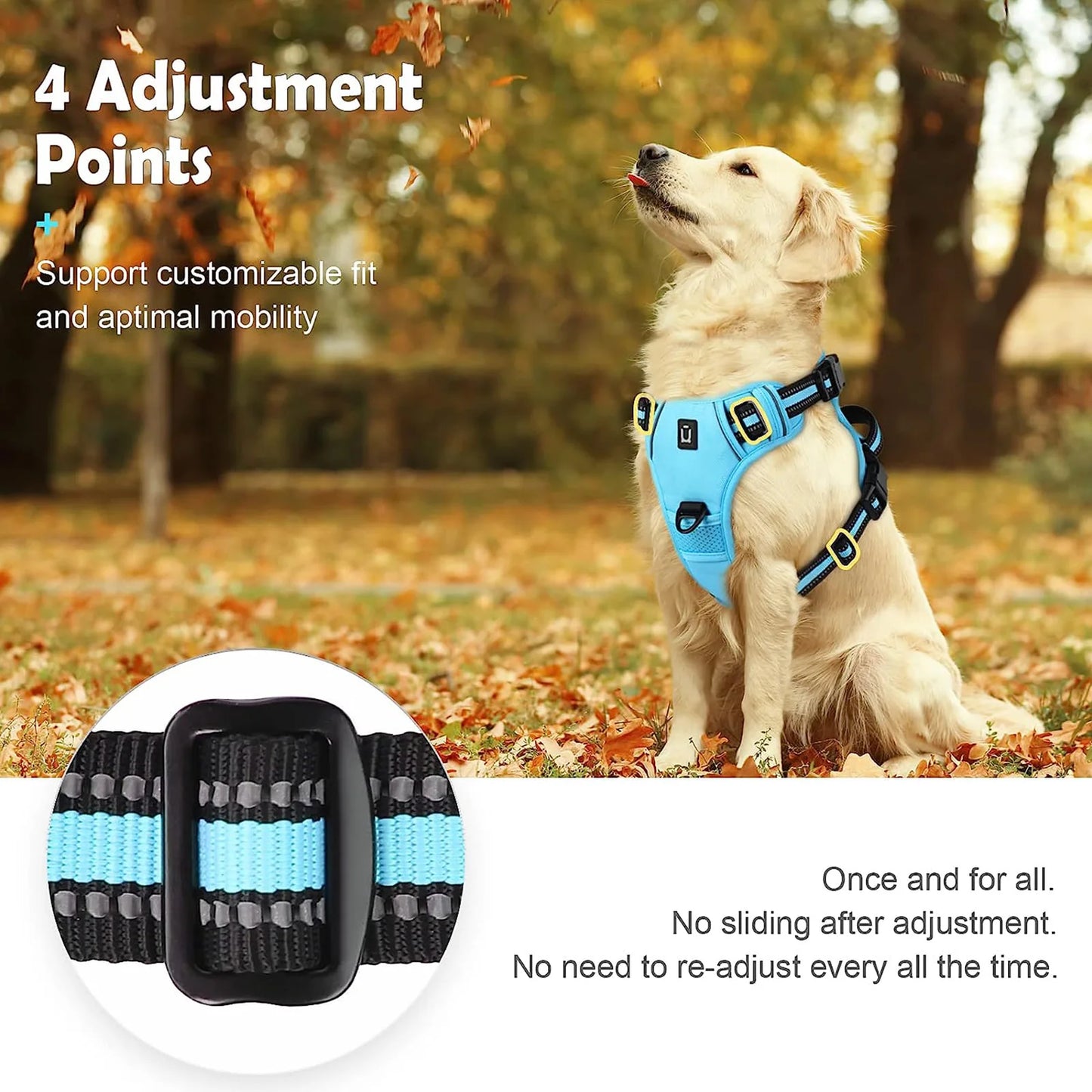 Adjustable Soft Padded Pet