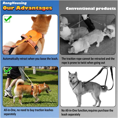 All-in-One Dog Harness and Retractable Leash Set