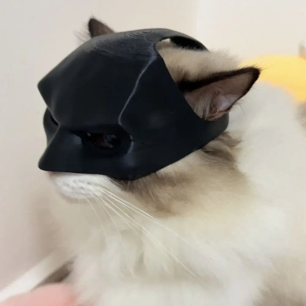 Cat Bat Cosplay Hat