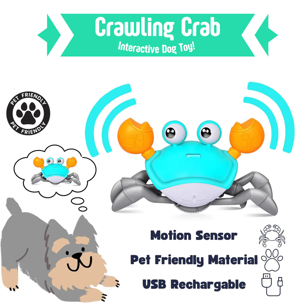 Crawling Crab