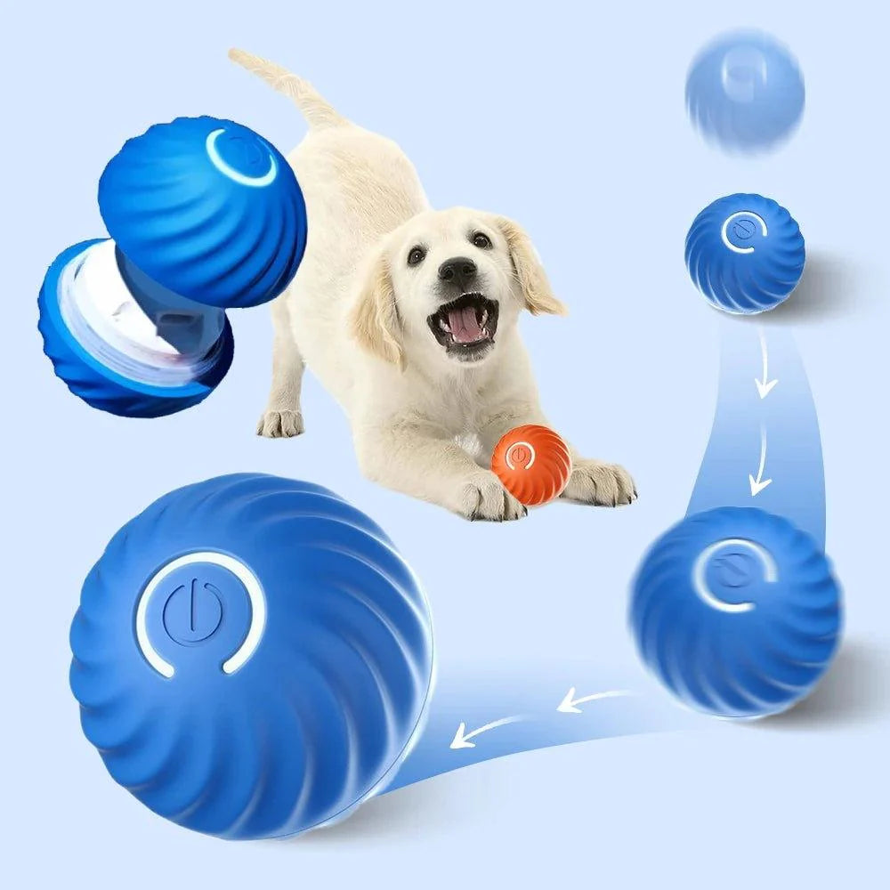 PawsyTrail™ Auto Ball